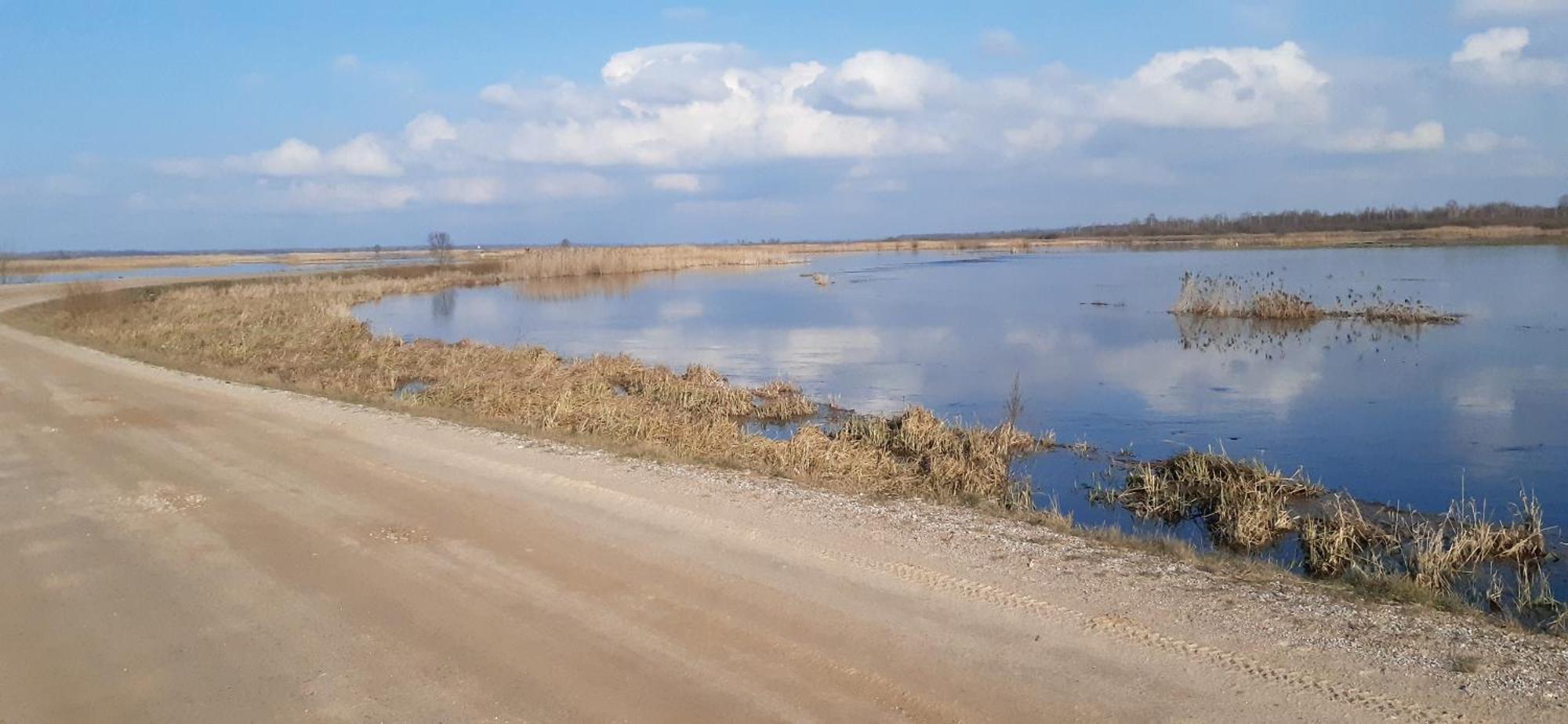 Noclegi Nad Biebrza Stara Szkola Wrocen Exterior photo