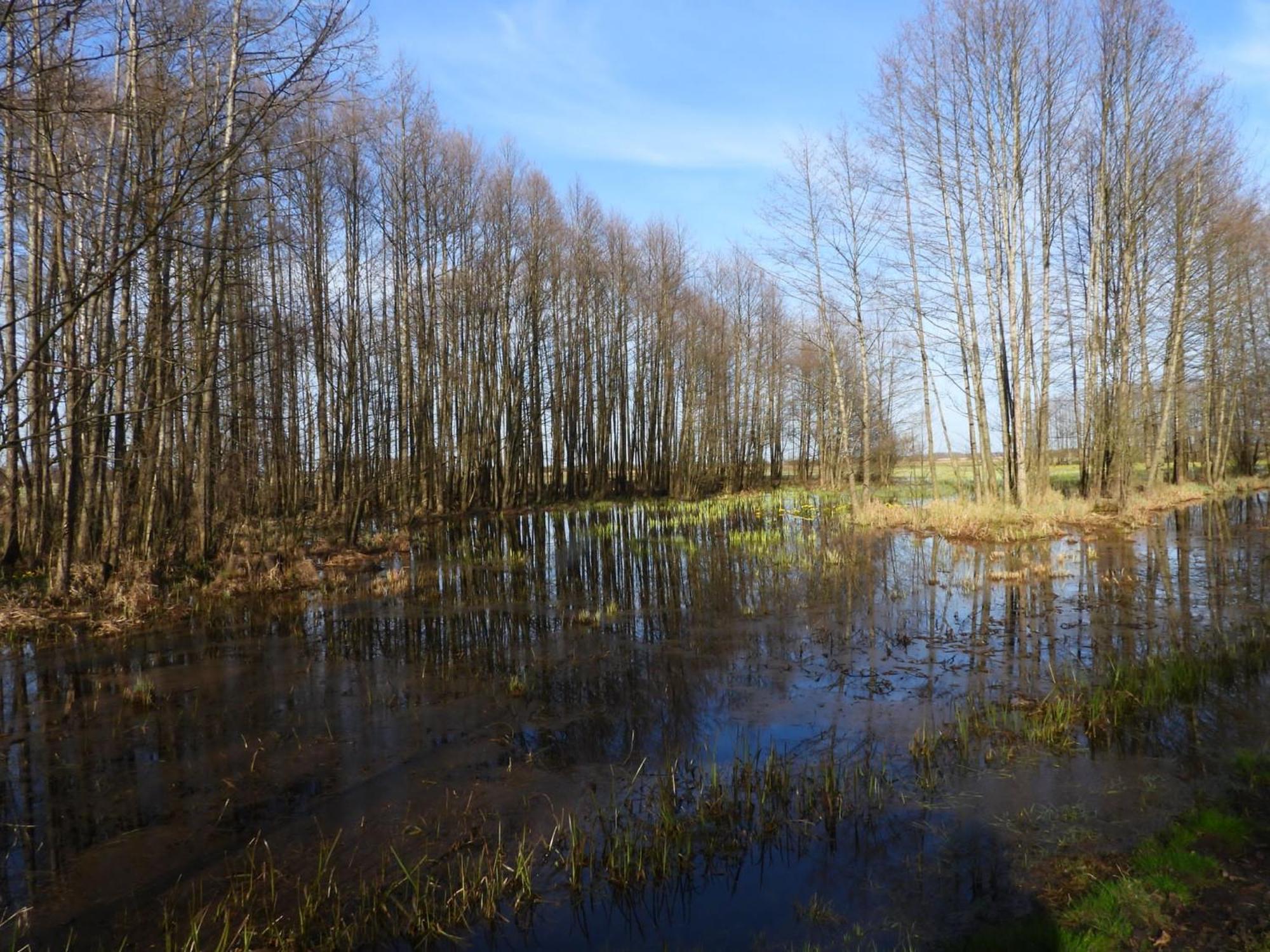 Noclegi Nad Biebrza Stara Szkola Wrocen Exterior photo