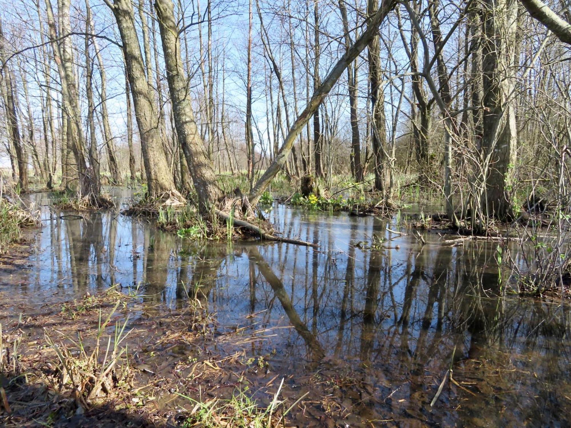 Noclegi Nad Biebrza Stara Szkola Wrocen Exterior photo